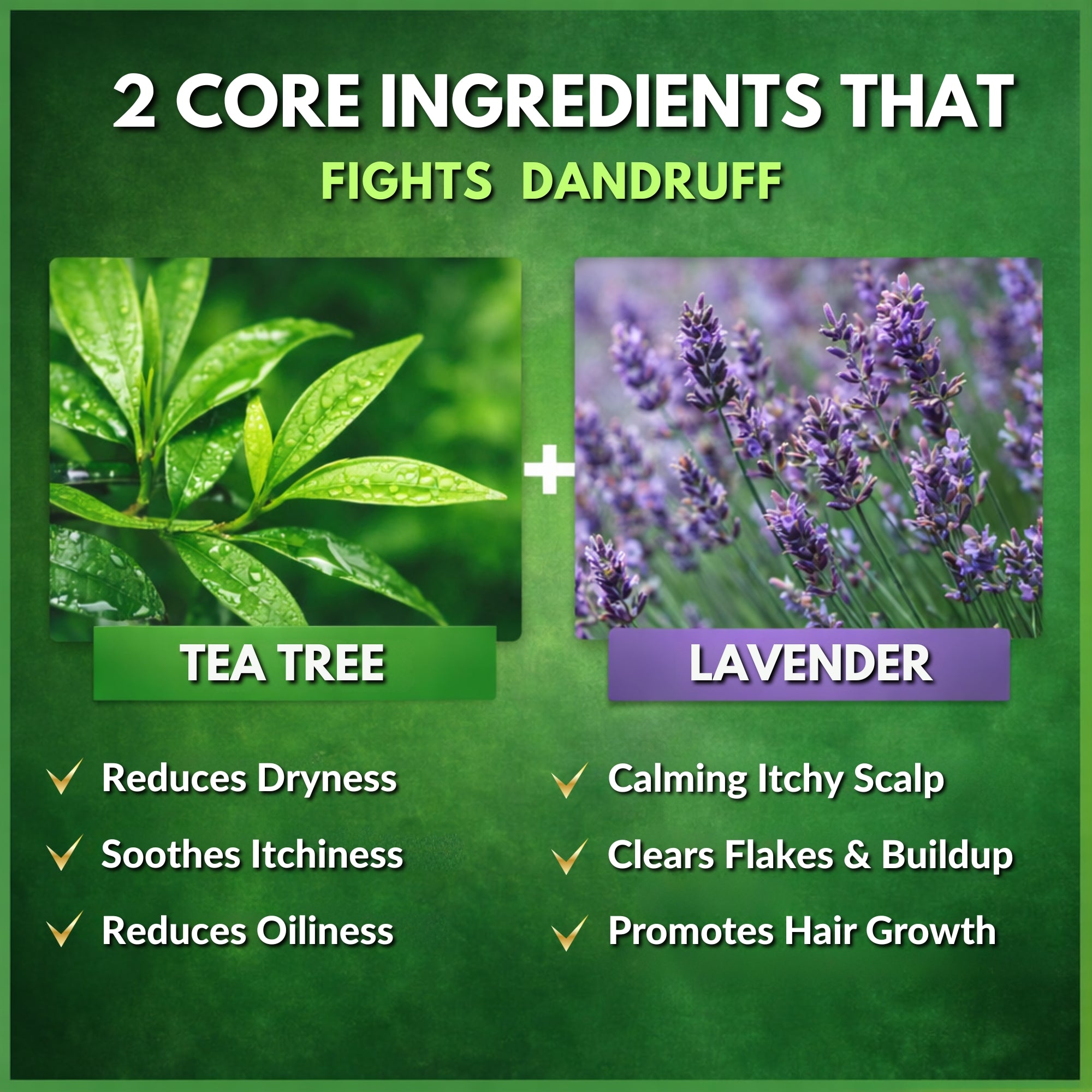 tea tree and lavender oil for hair Tea Tree Oil Hair Shampoo – Pack of 2